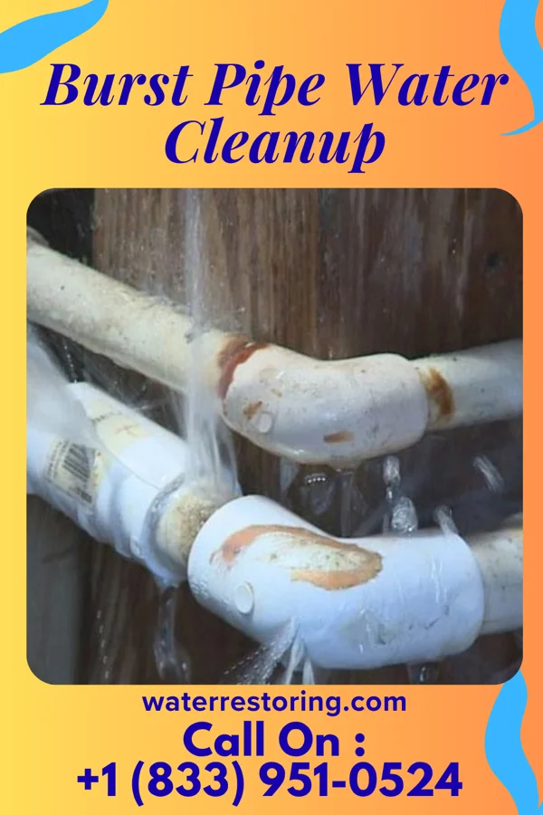 Burst Pipe Water Cleanup in Piperton, TN