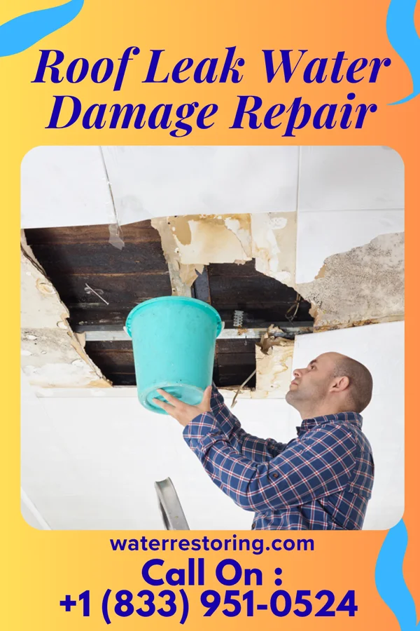 Roof Leak Water Damage Repair in Piperton, TN