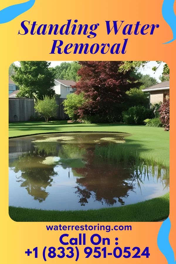 Standing Water Removal in Piperton, TN